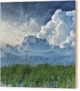 Storm Over The Dunes Wood Print