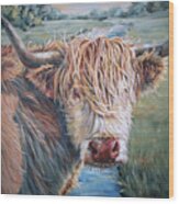 Stray Hair - Highland Cow Painting Wood Print