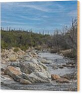 Stream In Catalina Mountains Wood Print