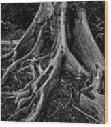Strength And Growth Wood Print