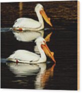 Striking A Pose With Pelicans Wood Print