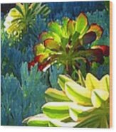 Succulents Backlit On Blue 2 Wood Print