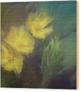 Summer Cactus Flower Wood Print