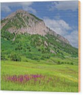 Summer Days In Mount Crested Butte Wood Print