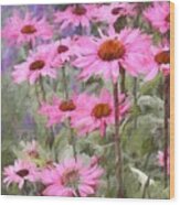 Summer Echinacea Flower Plants Wood Print
