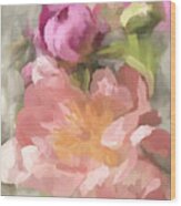 Summertime Blooms 02-ramona Murdock Art Wood Print