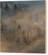 Sun, Fog And Trees. Wood Print