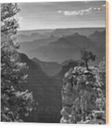 Sun Setting On Grand Canyon - Black And White Wood Print