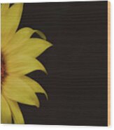 Sunflower #2 Wood Print