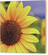 Sunflower Wood Print