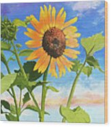 Sunflower Obx Wood Print