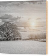 Sunlight On Farmland Wood Print