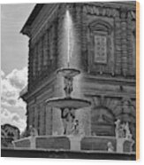 Sunlit Pitti Palace Fountain Black And White Wood Print