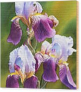 Sunny Irises Wood Print