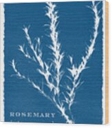 Sunprinted Herbs In Indigo - Rosemary - Art By Jen Montgomery Wood Print