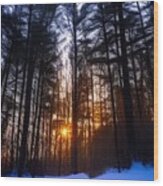 Sunrise Forest Wood Print