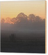 Sunrise On A Misty Morning Wood Print