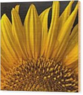 Sunflower-sunrise Wood Print