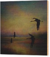 Sunset Flight Wood Print