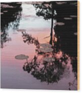 Sunset On A Florida Pond Wood Print