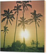 Sunset Palms Wood Print