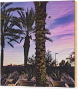 Sunset Palms Wood Print