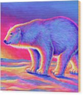 Sunset Polar Bear Wood Print