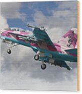 Super Hornet For The Ladies Wood Print