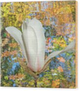 Surreal White Magnolia Wood Print