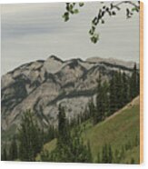 Swirly Top Mountain Wood Print