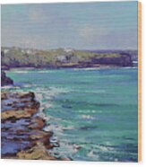 Sydney Coastline Wood Print