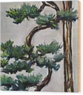 Tall Cascading Bonsai Tree Wood Print