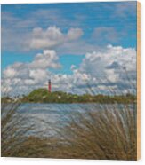 Tall Grass And Lighthouse Wood Print