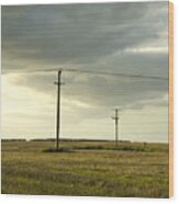 Telegraph Poles In Field And Cloudy Sky Wood Print