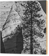 Tent Rocks, New Mexico 5 Wood Print