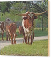 Texas Longhorn Print Combo - 1 - Jewels Wood Print