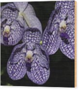 Textured Orchid Flowers 2 Wood Print