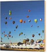 Rise - Albuquerque Hot Air Balloon Festival. New Mexico Wood Print