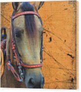 The Beauty That Is A Paso Fino Horse Wood Print