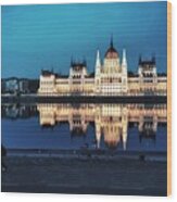The Blue Danube And Hungarian Parliament Wood Print