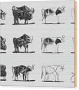 The Bull Series Wood Print