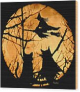 Cat..owl..witch..moon Wood Print