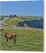 The Cliffs Of Moher Wood Print