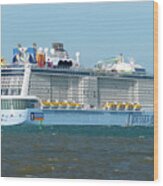 The Cruise Ship Odyssey Of The Seas Heads To Sea Wood Print