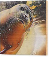 The Cutest Seal Wildlife Art Wood Print