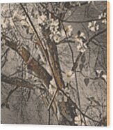 The Dogwoods Of Spring Wood Print