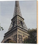 The Eiffel Tower, Paris, France Wood Print