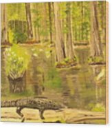 The Everglades #124 Wood Print