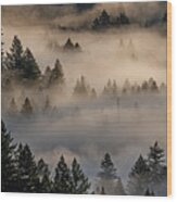 The Fog  In The Trees. Wood Print