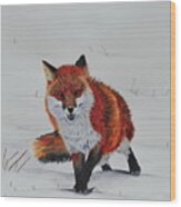 The Fox In Winter Wood Print
